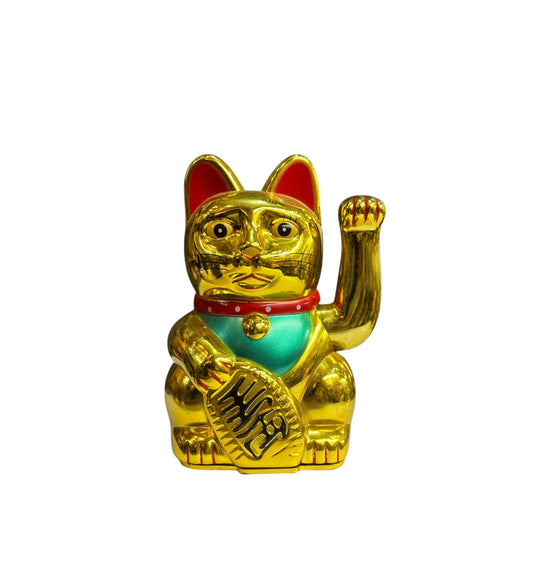 Zhaocai Mai 0255